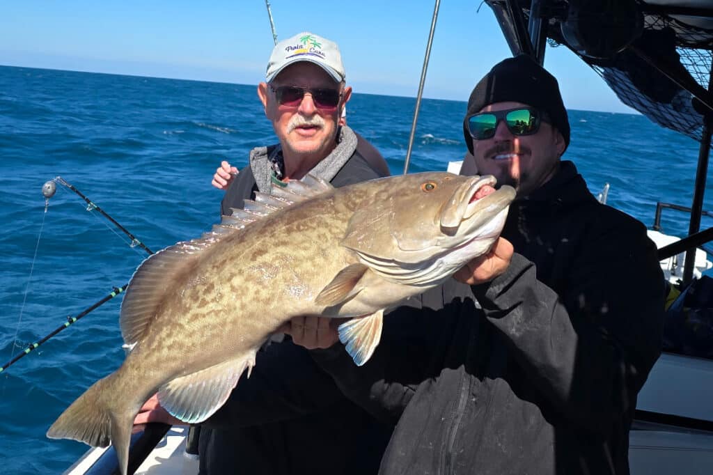 OFFSHORE-gaggrouper (3)