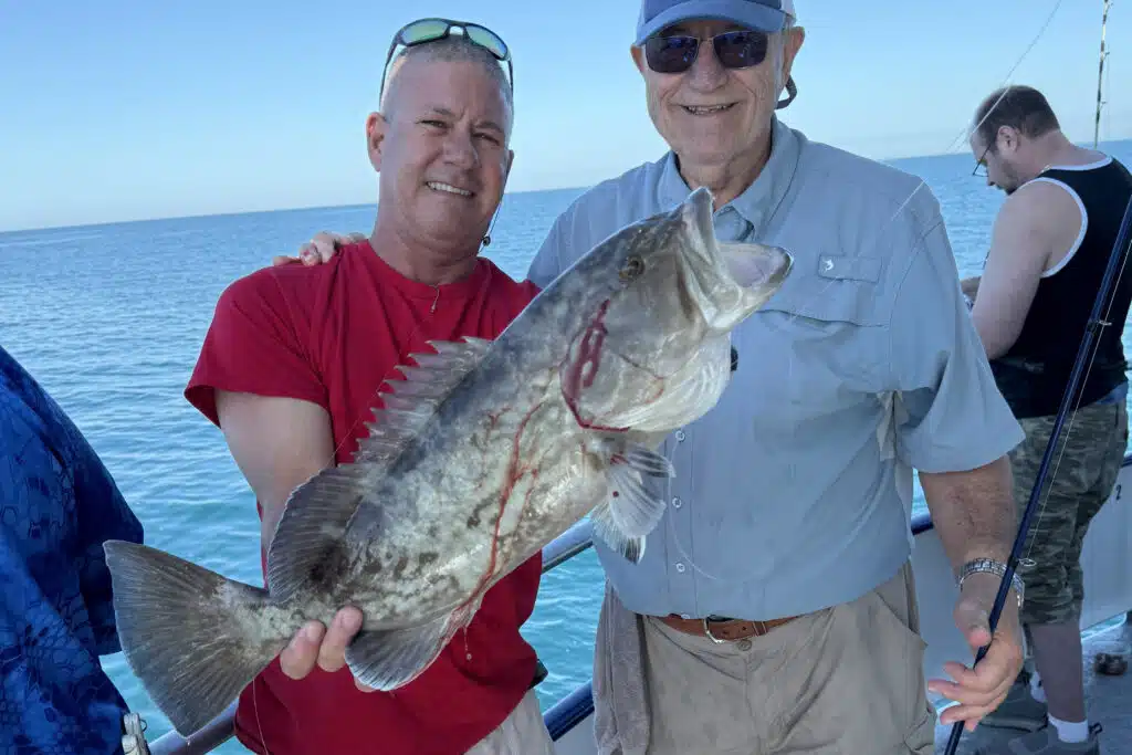 OFFSHORE-gaggrouper (3)