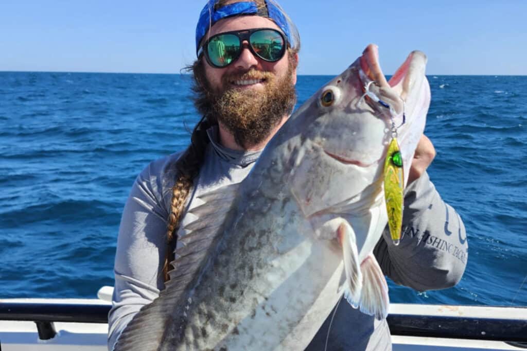 OFFSHORE-gaggrouper (4)