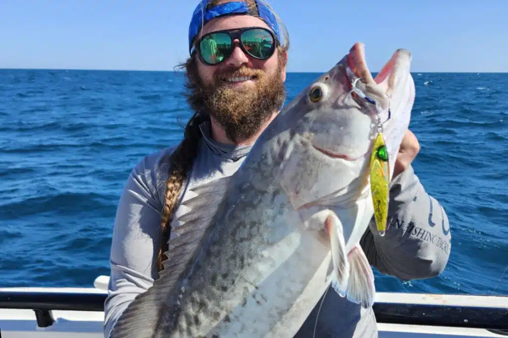 OFFSHORE-gaggrouper (4)