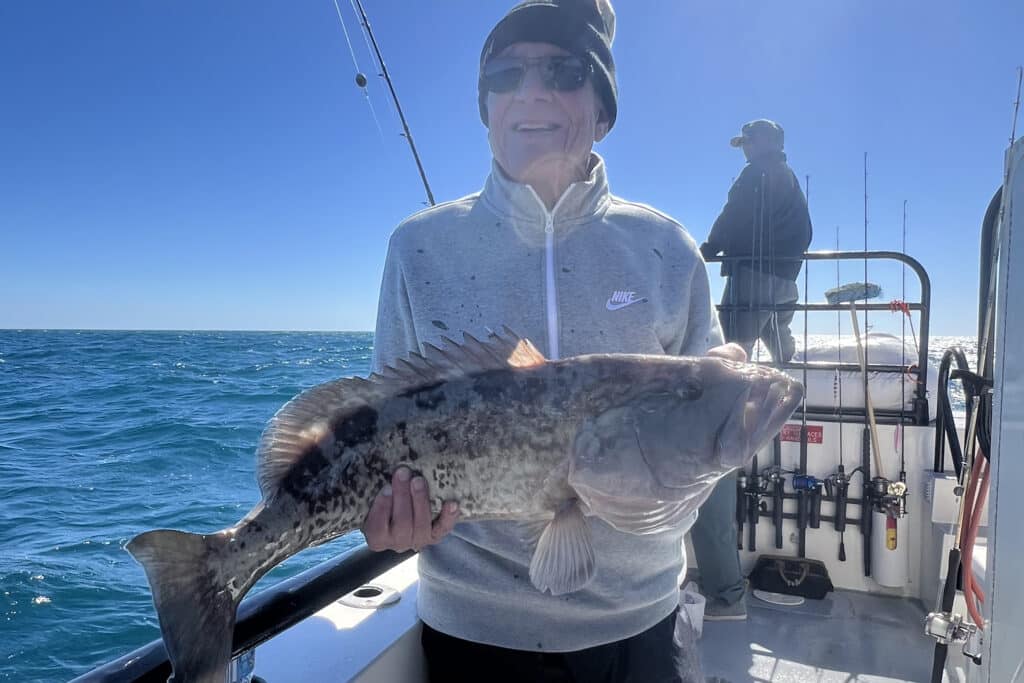 OFFSHORE-gaggrouper (6)