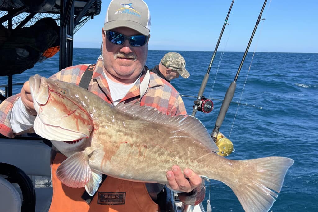 OFFSHORE-gaggrouper (7)