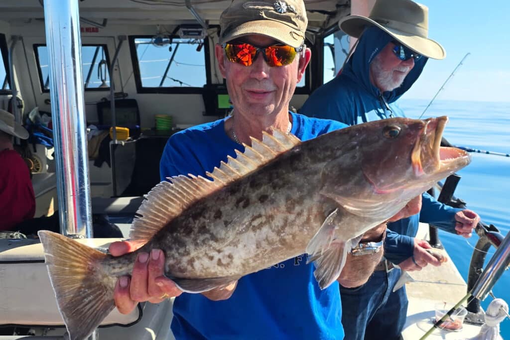 OFFSHORE-gaggrouper