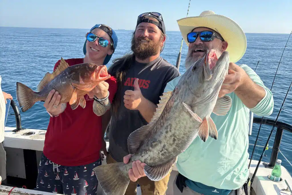 OFFSHORE-grouper