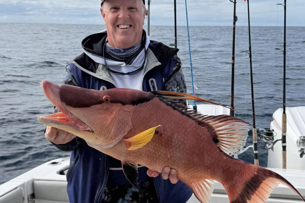OFFSHORE-hogfish