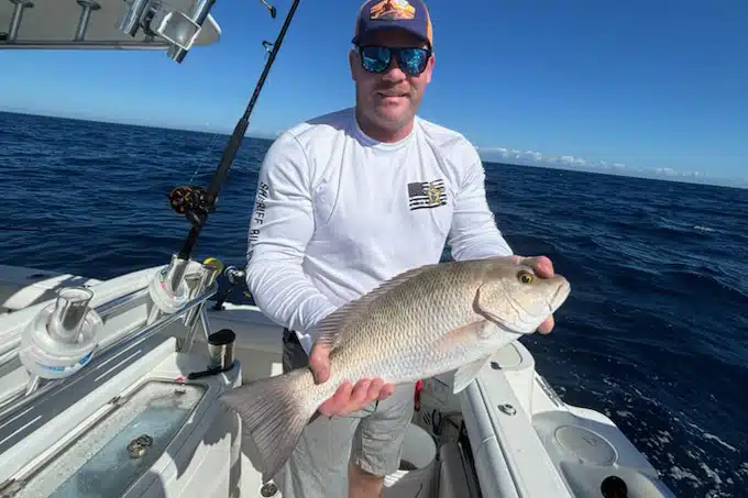 OFFSHORE-mangrove (1)