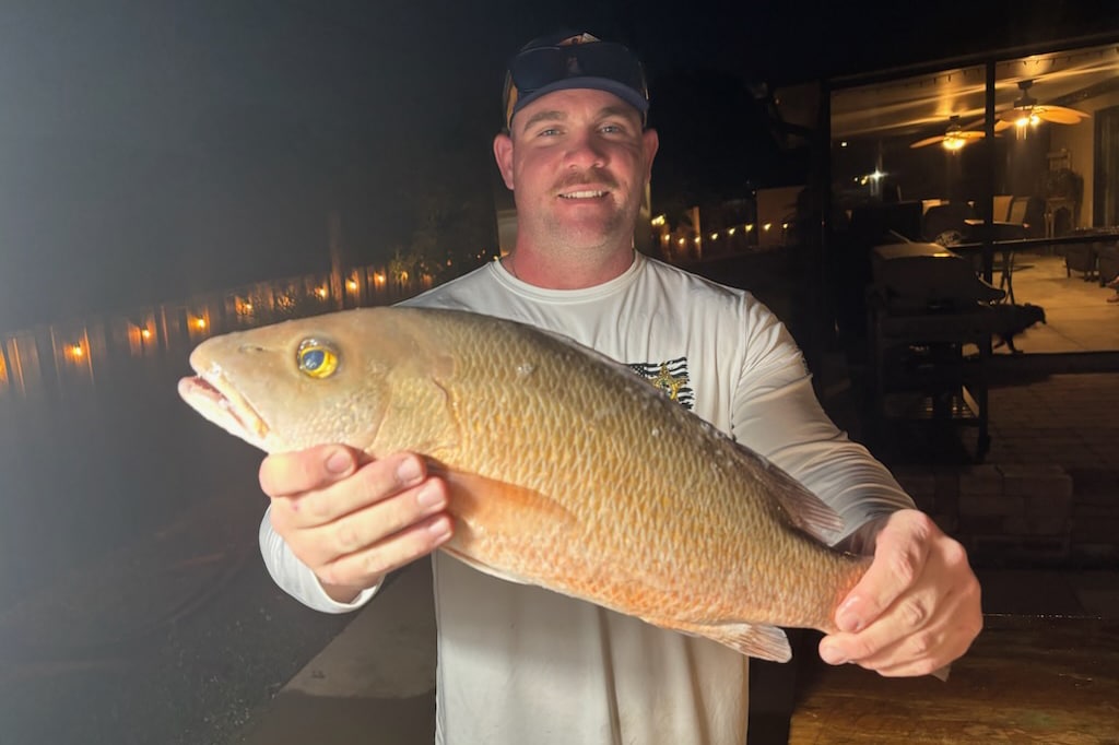 OFFSHORE-mangrove (2)