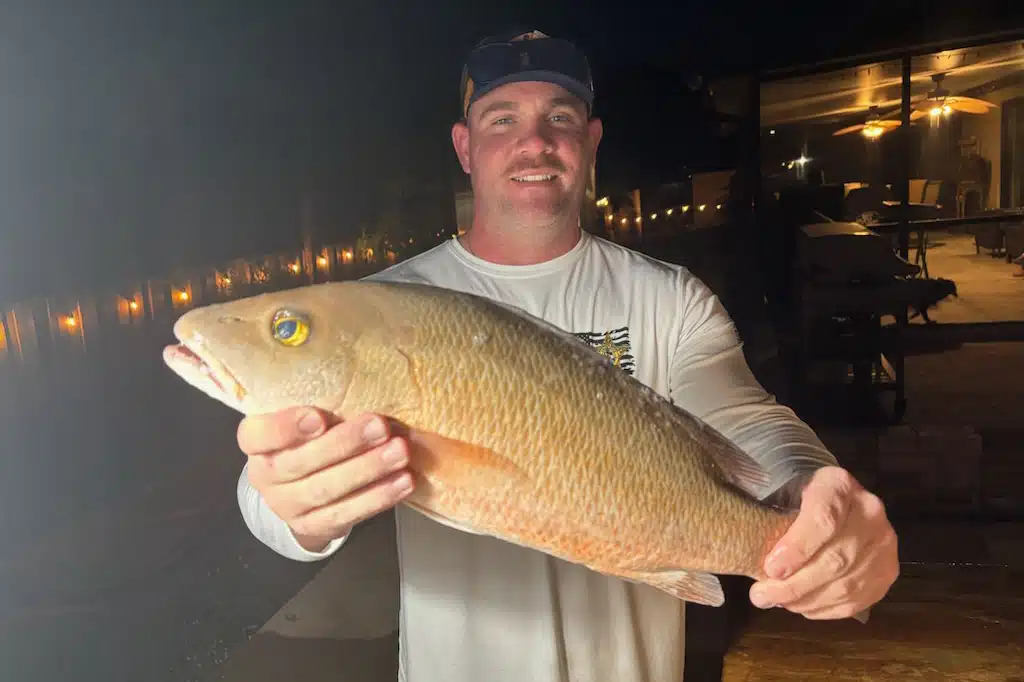 OFFSHORE-mangrove (2)