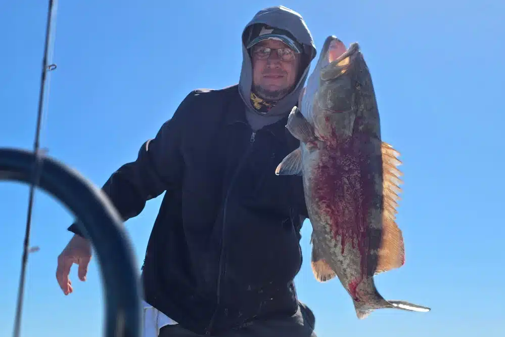 OFFSHORE-redgrouper (1)