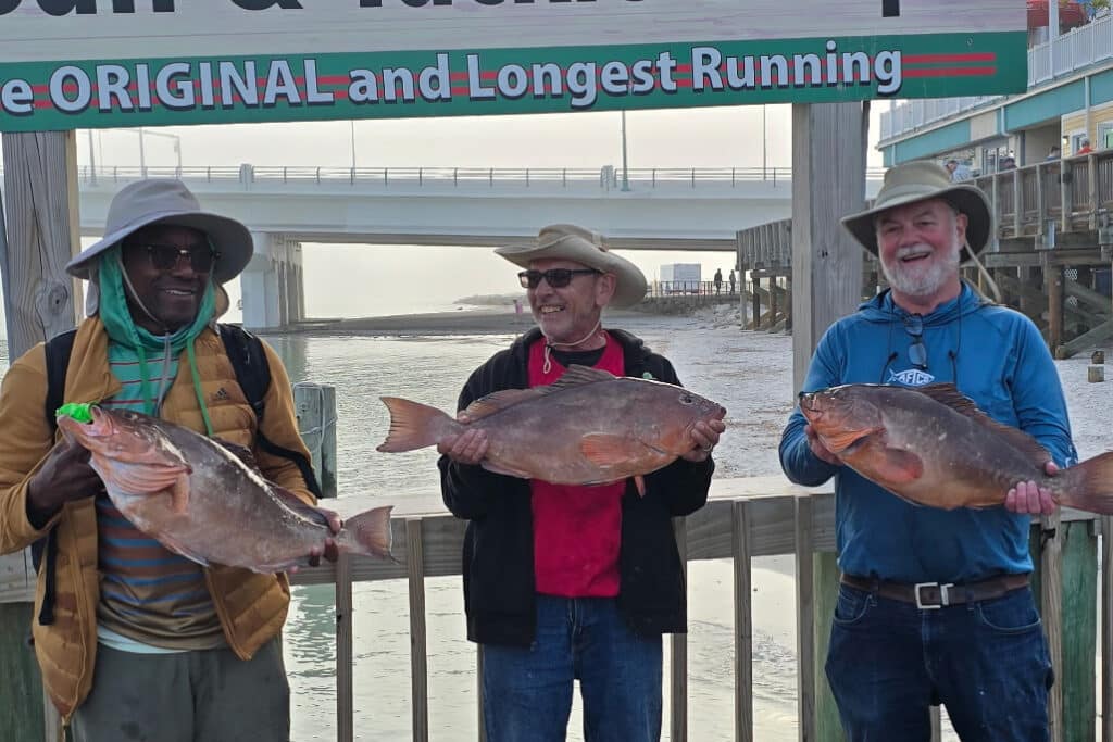 OFFSHORE-redgrouper (1)