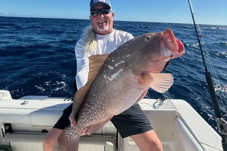 OFFSHORE-redgrouper (1)