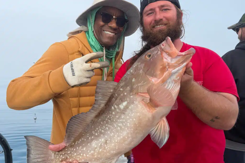 OFFSHORE-redgrouper