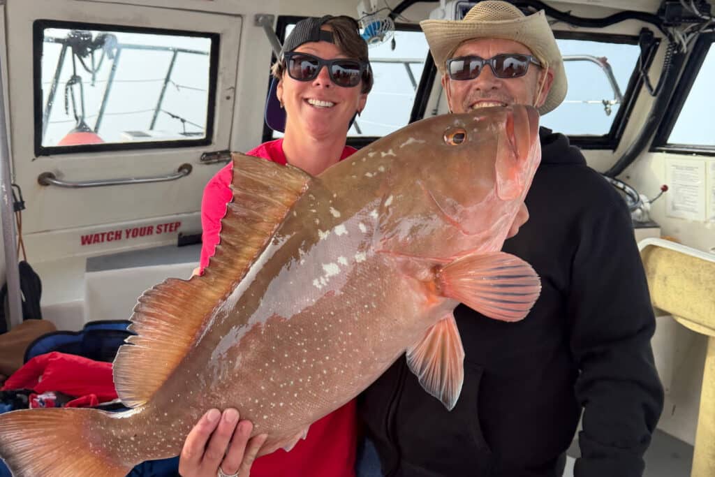 OFFSHORE-redgrouper (2)