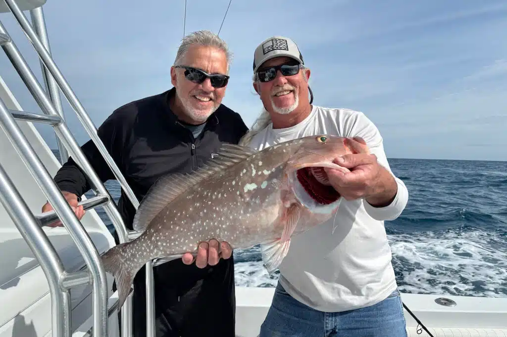 OFFSHORE-redgrouper (2)