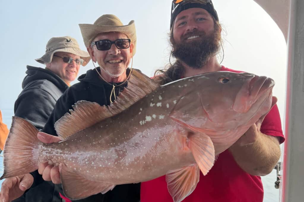 OFFSHORE-redgrouper (5)