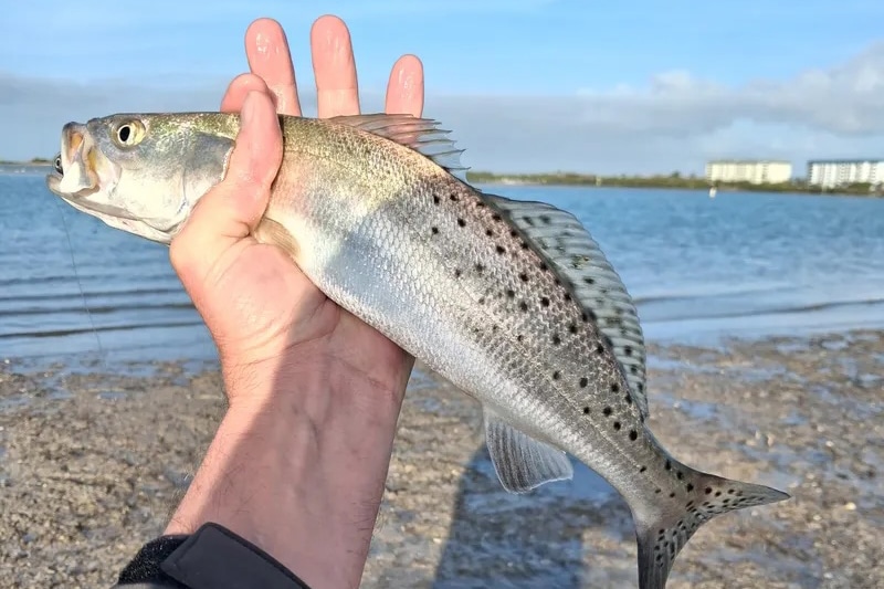 d15279cb-7634-437c-b429-c3f5408d3ca0