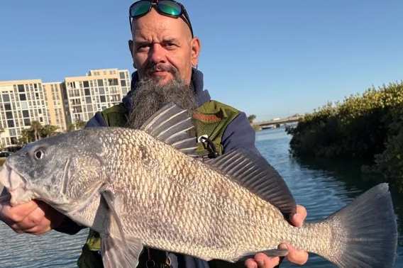 INSHORE-blackdrum