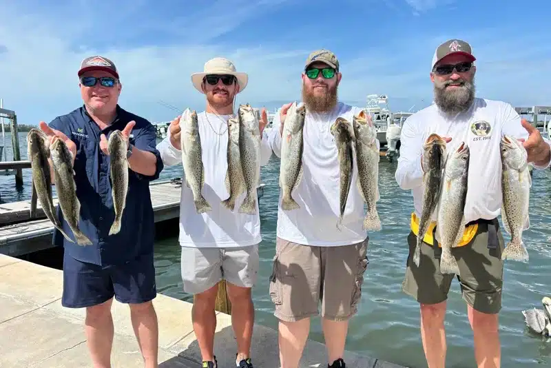 INSHORE-fish