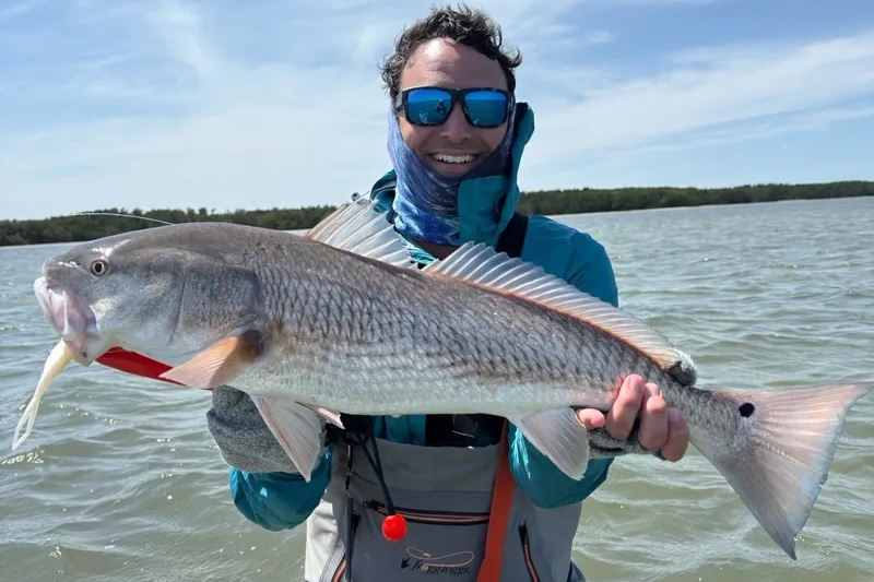 INSHORE-redfish3