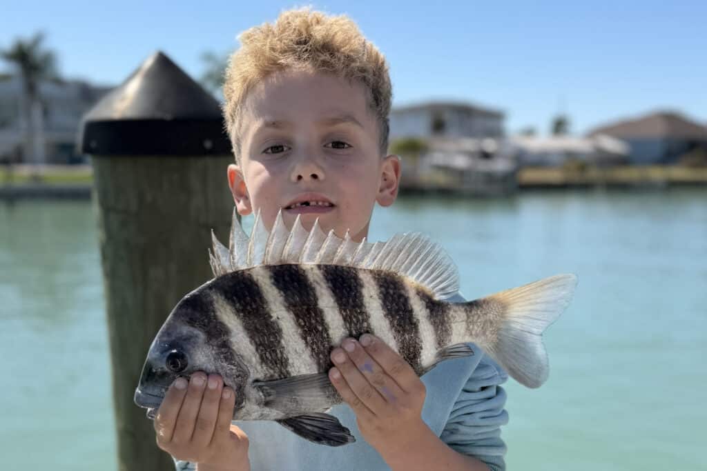 INSHORE-sheepshead