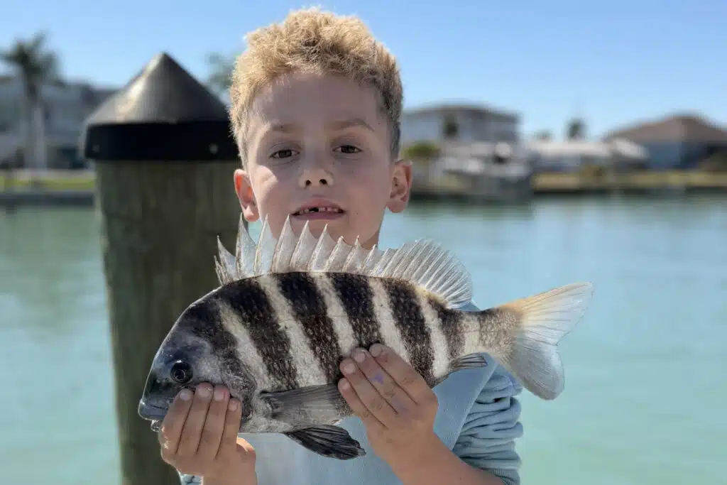 INSHORE-sheepshead