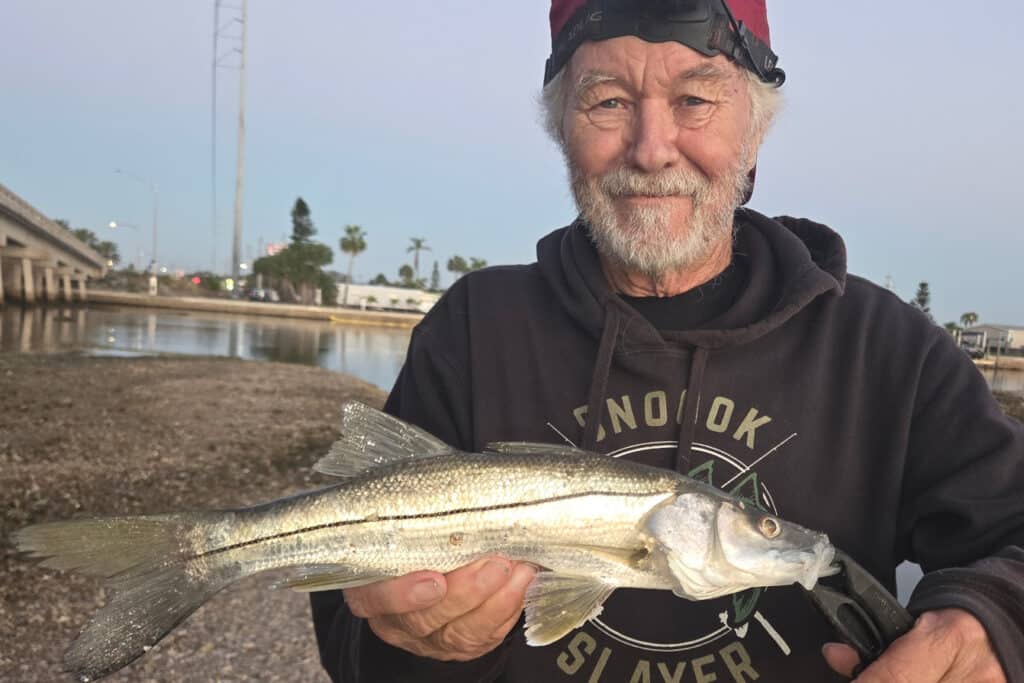 INSHORE-snook (1)
