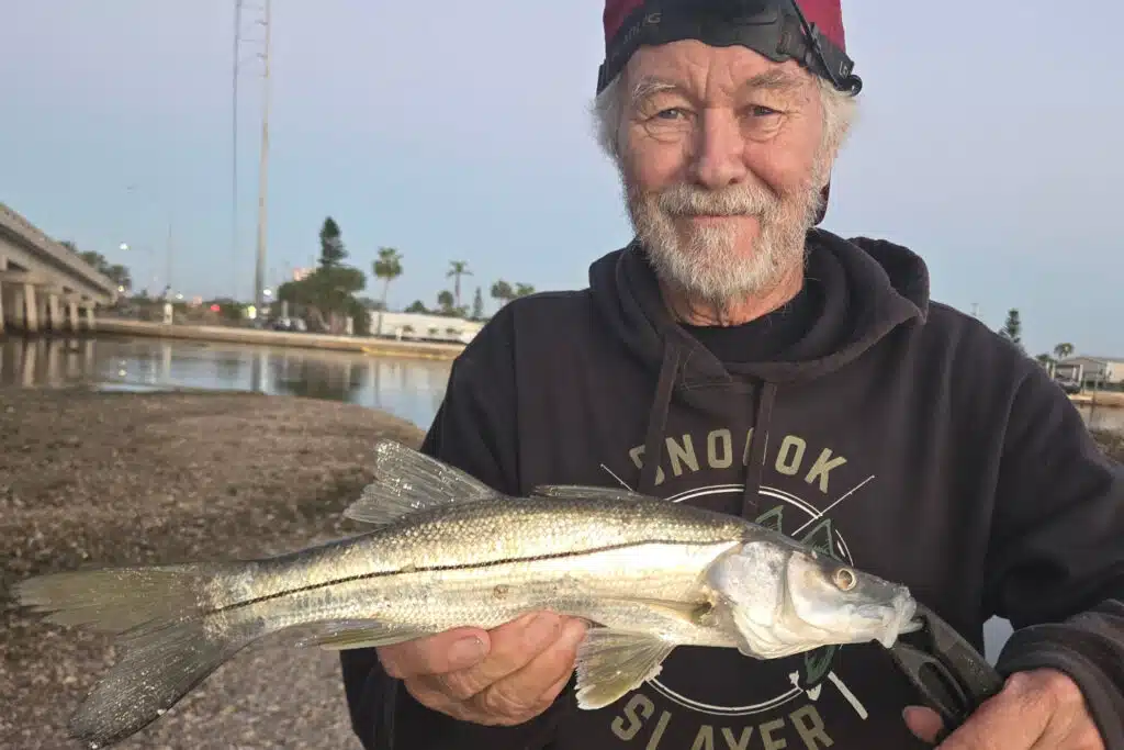INSHORE-snook (1)