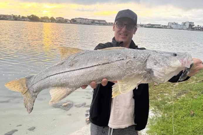 INSHORE-snook