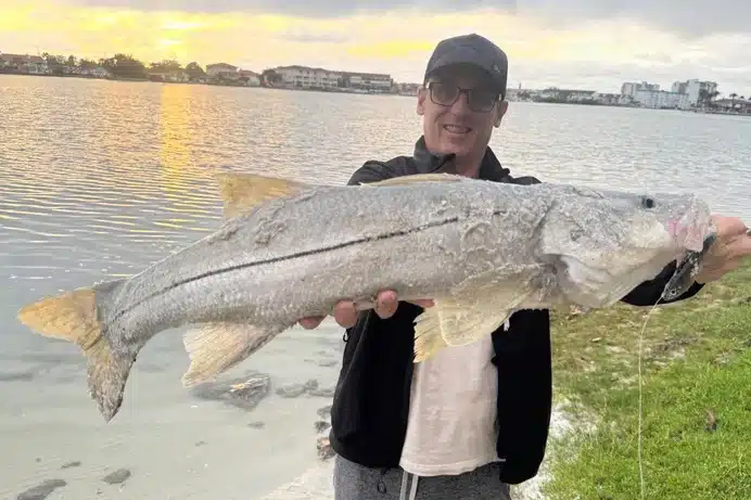 INSHORE-snook