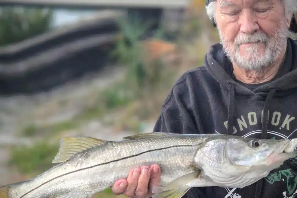 INSHORE-snook