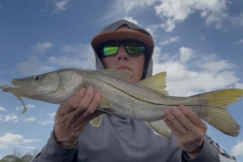 INSHORE-snook