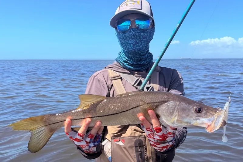 INSHORE-snook2