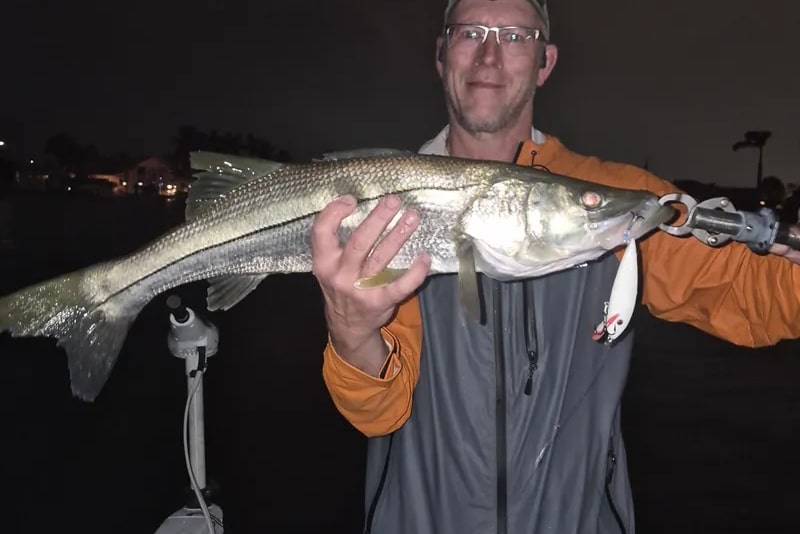 INSHORE-snook2