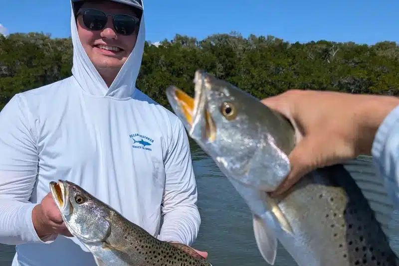 INSHORE-trout2