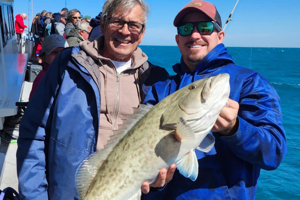 NEARSHORE-gaggrouper