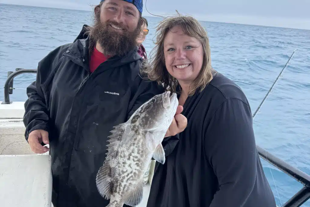 NEARSHORE-gaggrouper