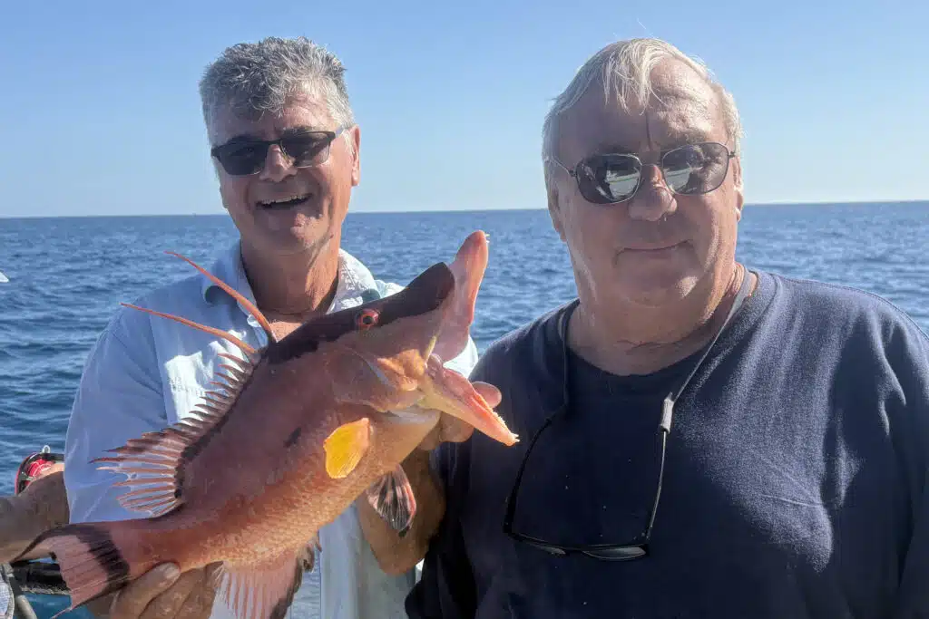 NEARSHORE-hogfish (1)