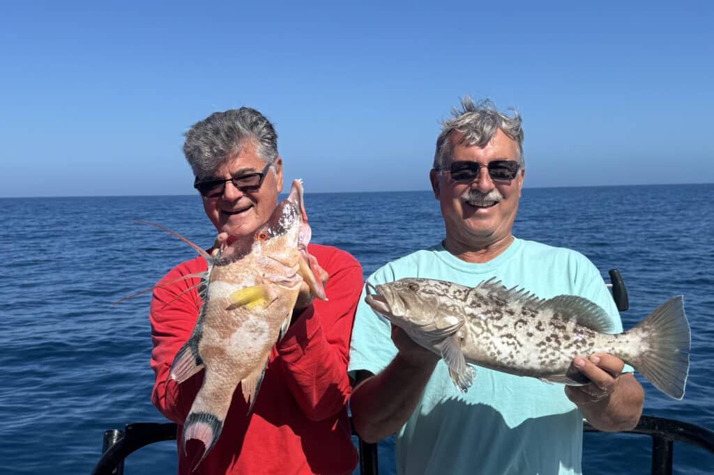 NEARSHORE-hogfish (1)