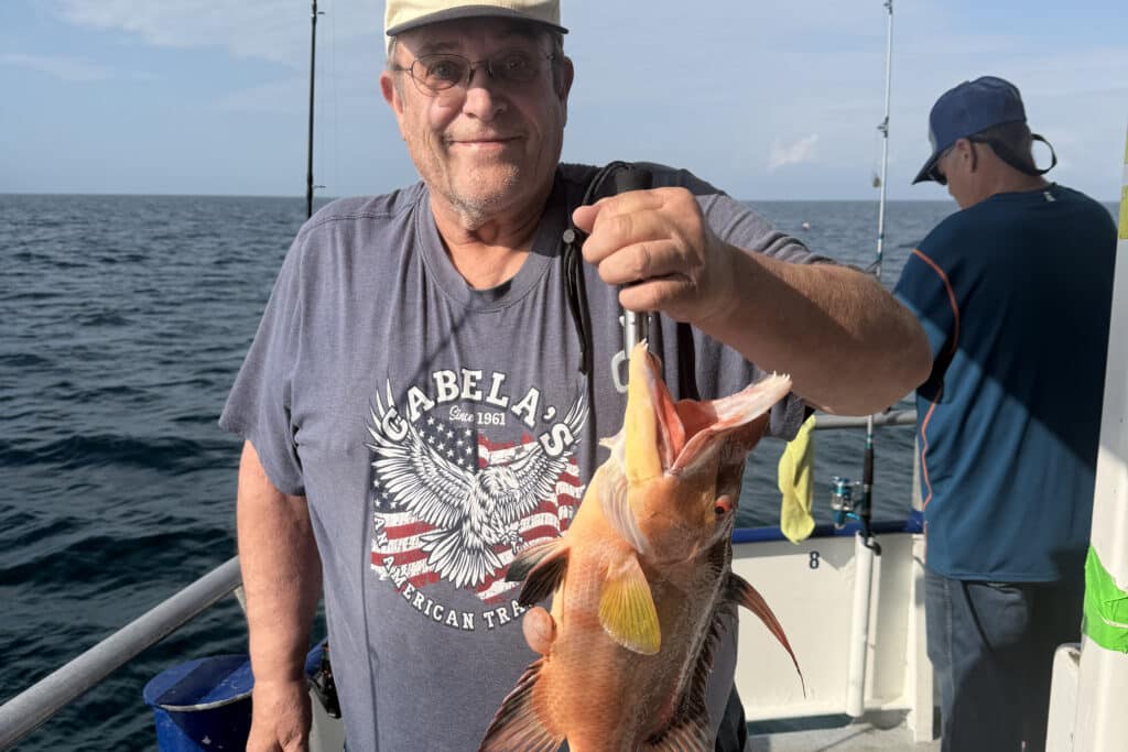 NEARSHORE-hogfish (1)