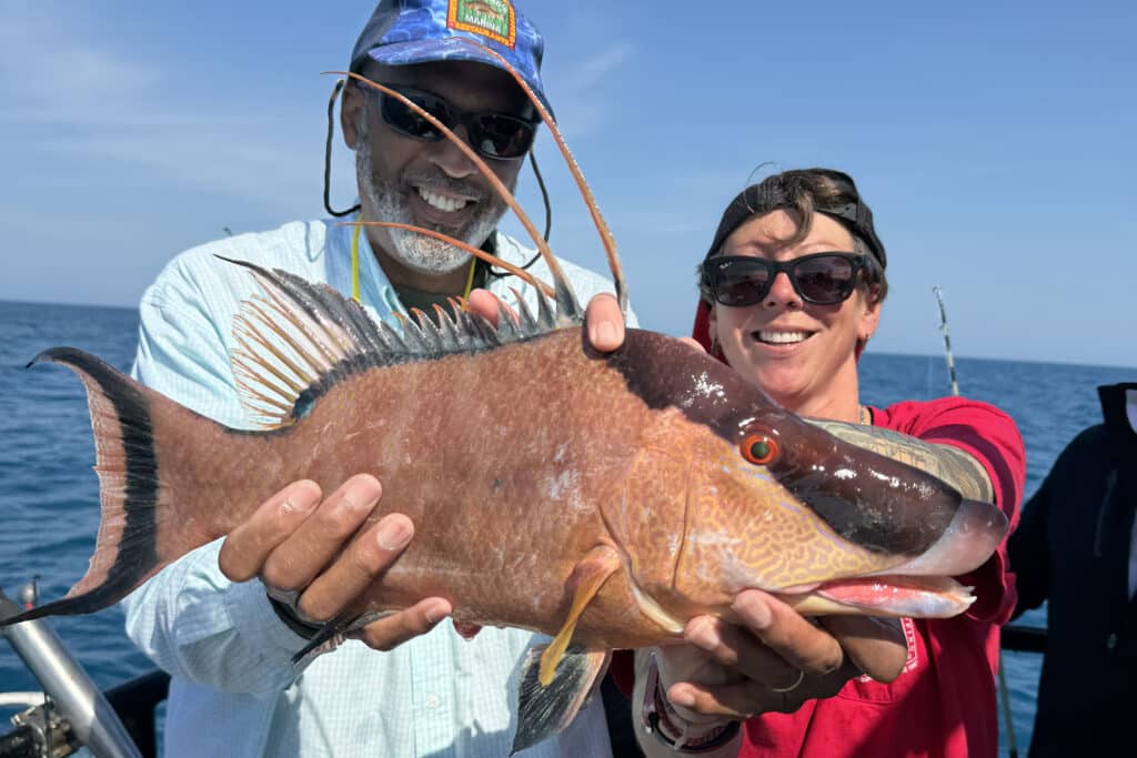 NEARSHORE-hogfish