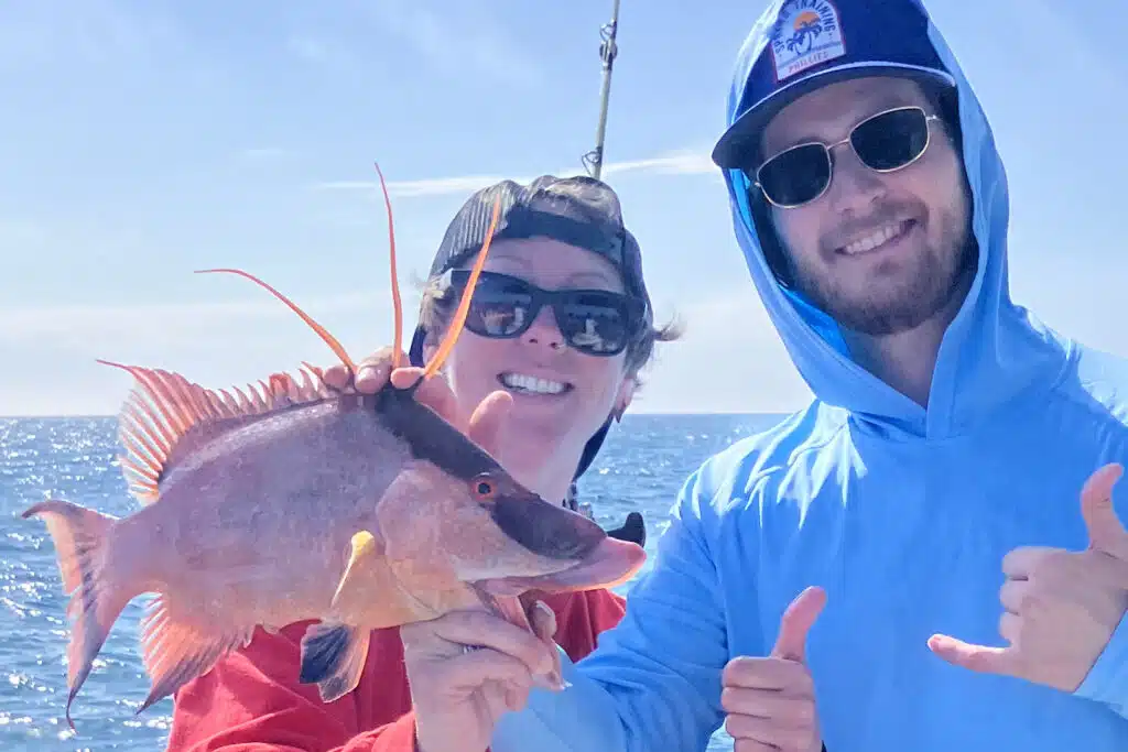 NEARSHORE-hogfish (12)