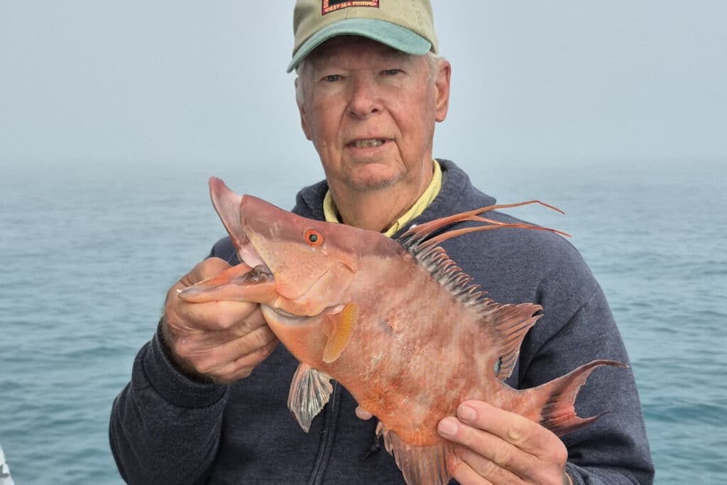 NEARSHORE-hogfish (13)