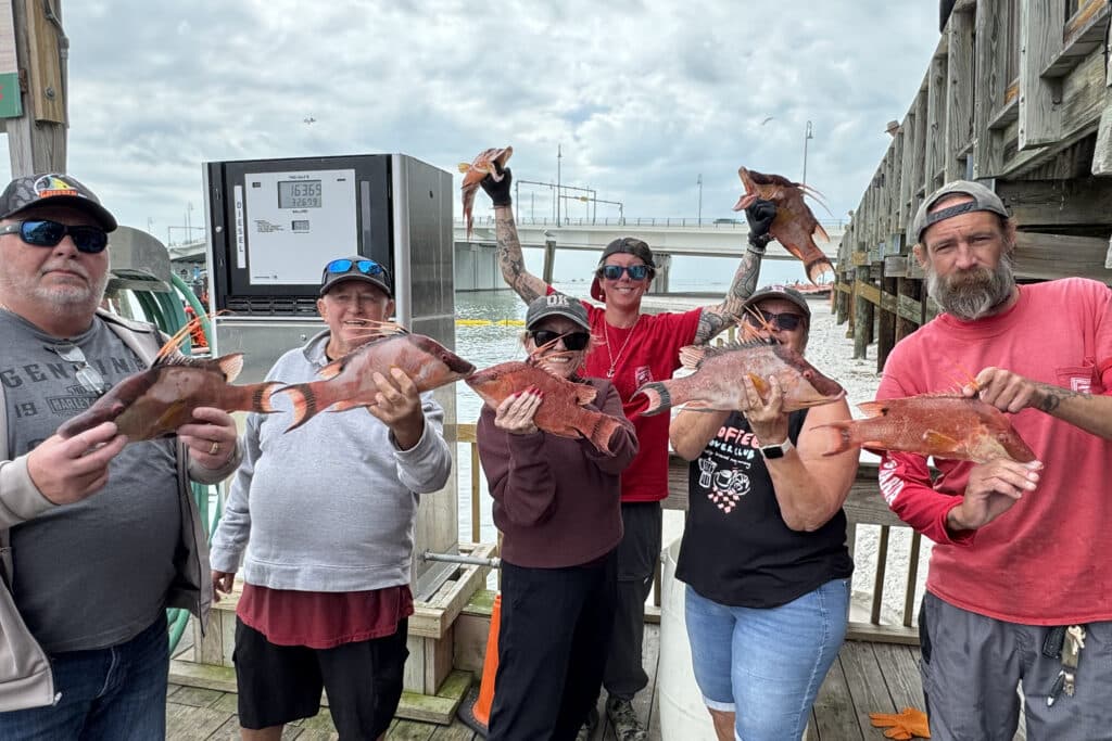 NEARSHORE-hogfish (14)