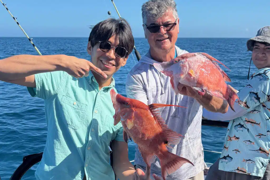 NEARSHORE-hogfish