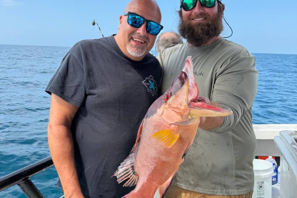 NEARSHORE-hogfish