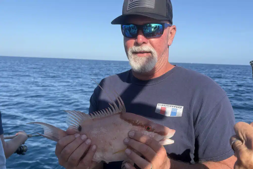 NEARSHORE-hogfish (2)