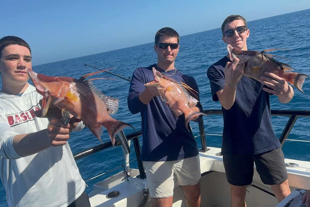 NEARSHORE-hogfish (2)