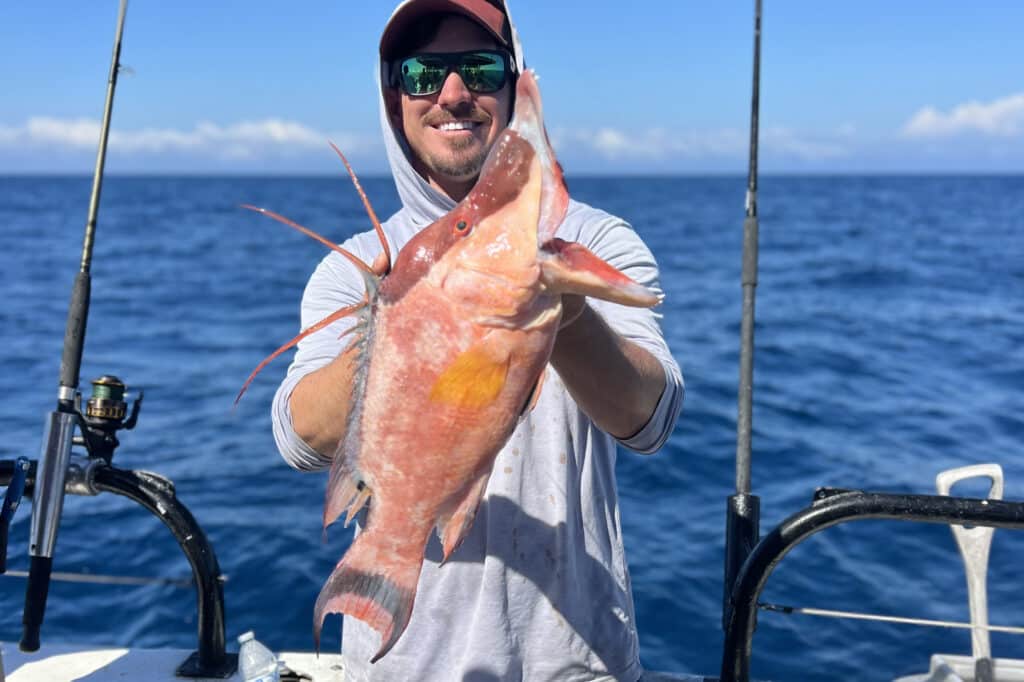 NEARSHORE-hogfish (2)