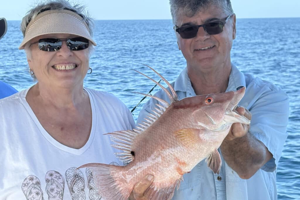NEARSHORE-hogfish (3)