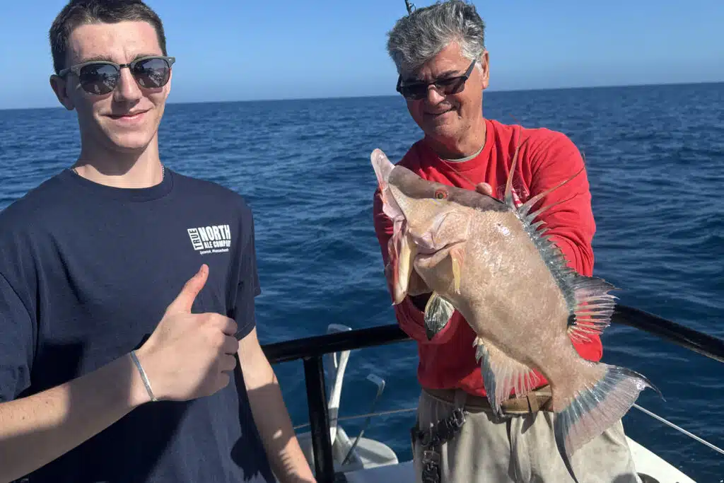 NEARSHORE-hogfish (3)